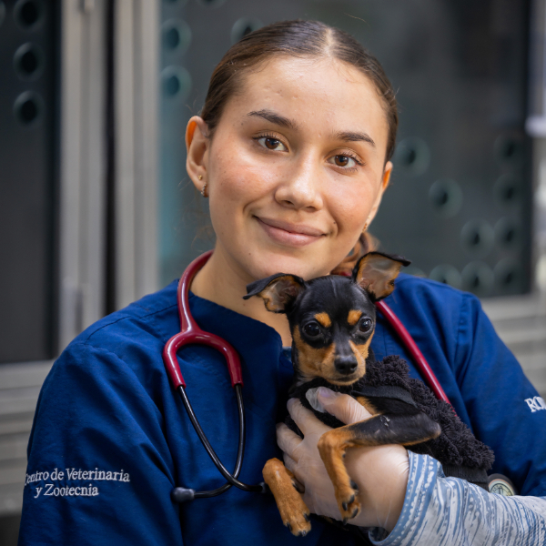 Persona con uniforme clínico azul sostiene un perro pequeño de pelaje oscuro y lleva un estetoscopio colgado alrededor del cuello, en un entorno veterinario.