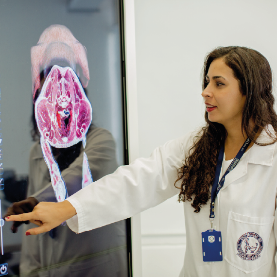 Persona con bata blanca señala una pantalla que muestra una imagen médica en tonos rosados, similar a una tomografía o resonancia, en un entorno clínico o educativo.
