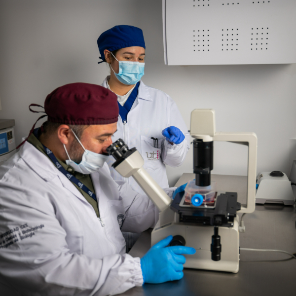 Dos personas con bata blanca, gorros y guantes azules trabajan en un laboratorio; una observa a través de un microscopio mientras la otra sostiene un instrumento junto al equipo.
