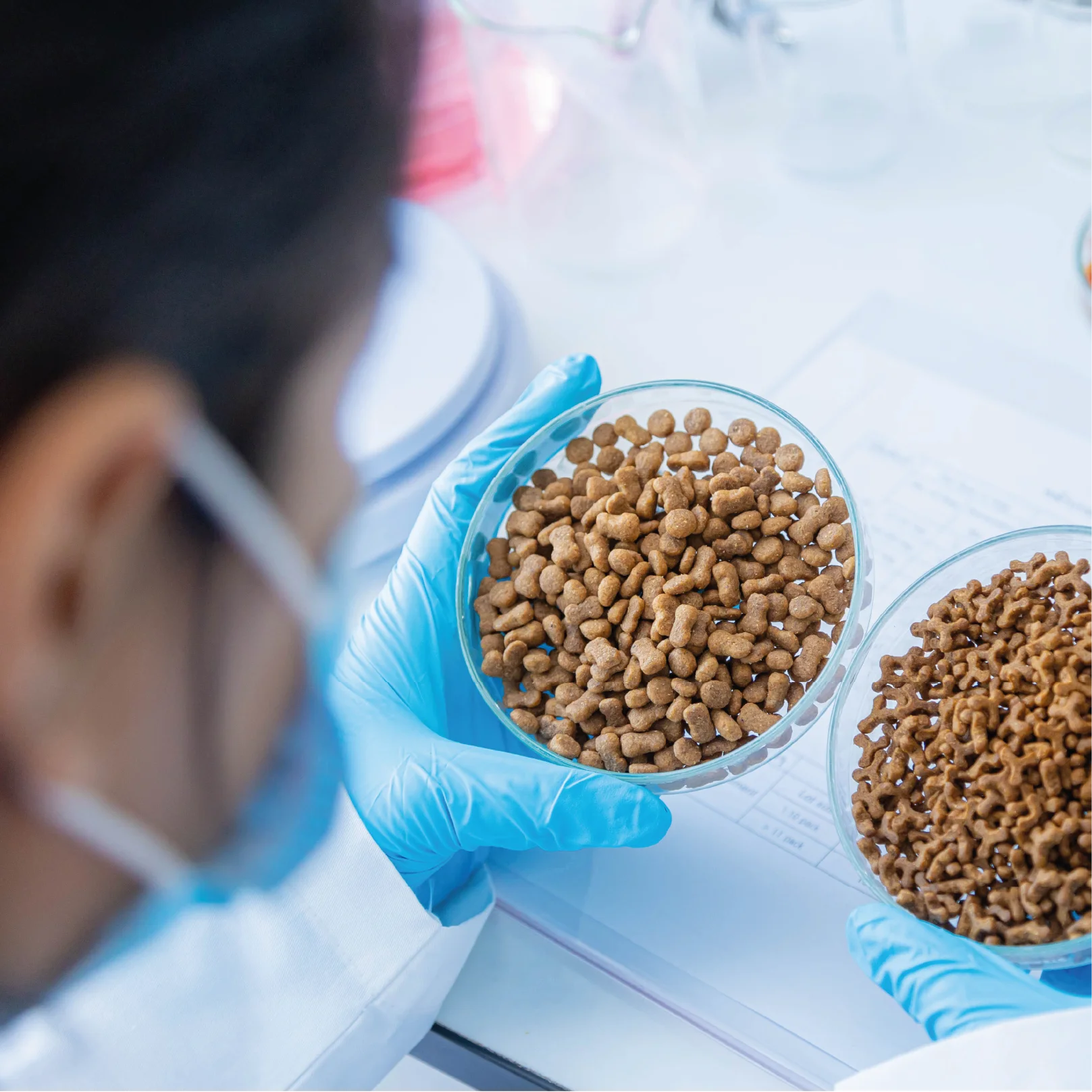 Persona con guantes sostiene recipientes transparentes con muestras de alimento concentrado para animales, en un entorno de laboratorio destinado al análisis y evaluación de productos nutricionales.