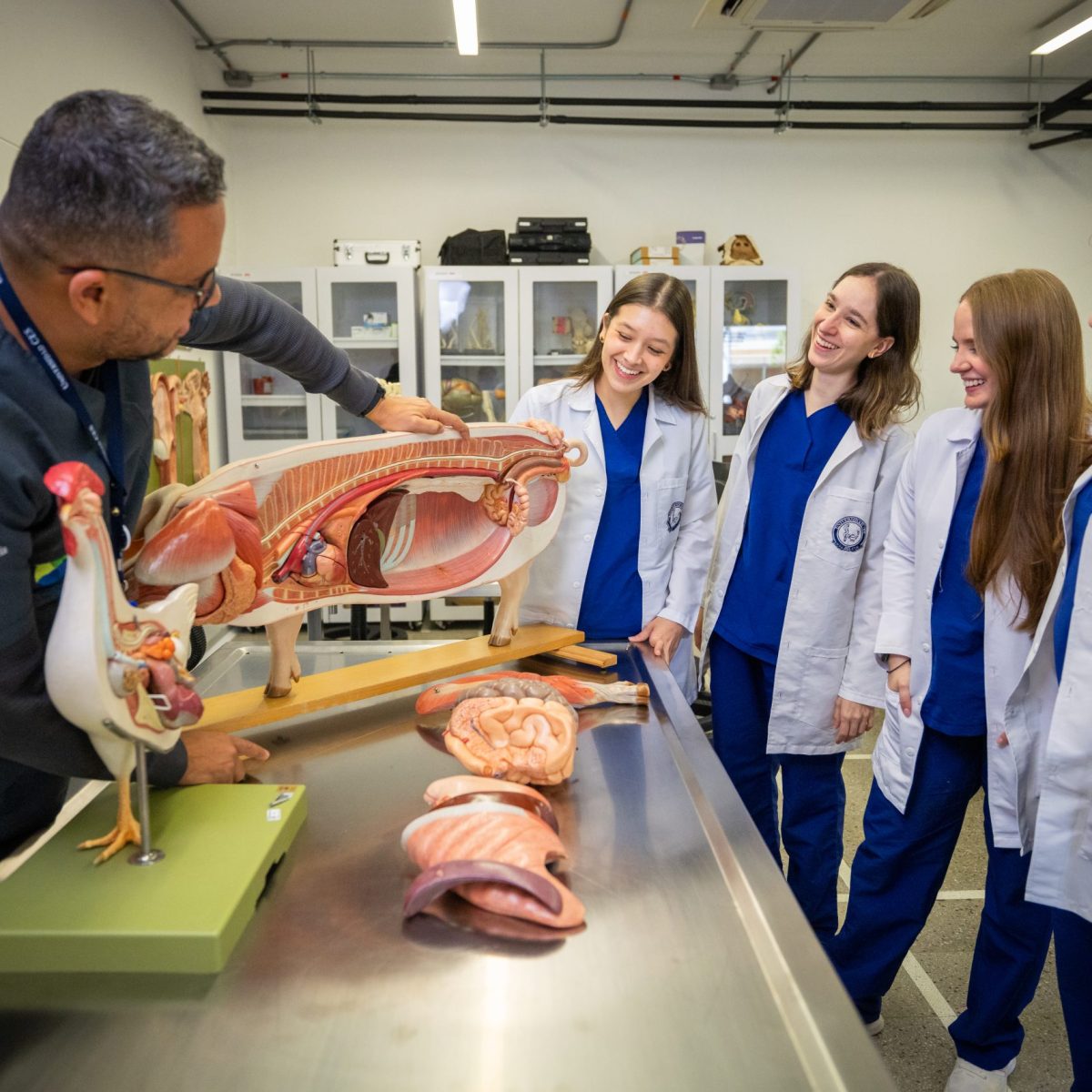 En un laboratorio educativo, una persona muestra a un grupo de estudiantes un modelo anatómico de las vísceras internas de un ave, acompañado de otras piezas anatómicas sobre una mesa metálica.