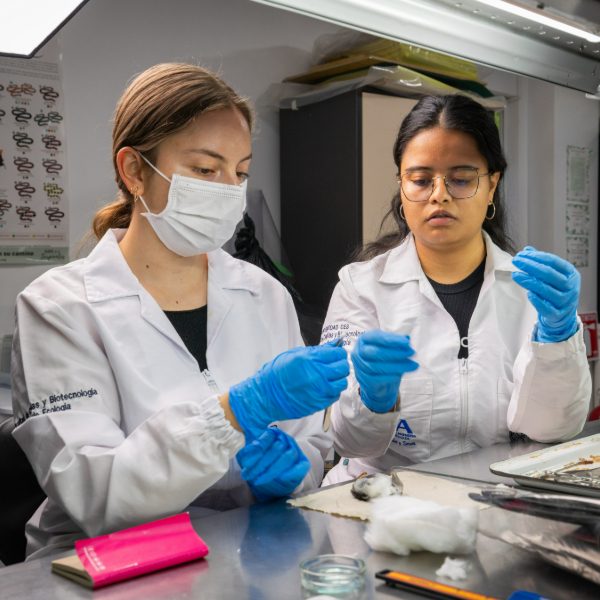 Dos personas con batas blancas y guantes azules manipulan material de laboratorio sobre una mesa metálica, en un entorno con instrumentos y frascos.