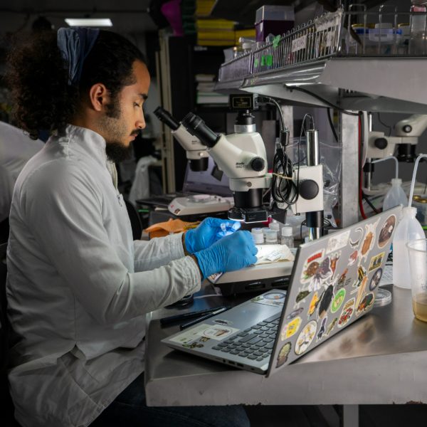 Persona con bata blanca y guantes azules trabaja en un laboratorio, utilizando un microscopio sobre una mesa con instrumentos y un computador portátil lleno de adhesivos.