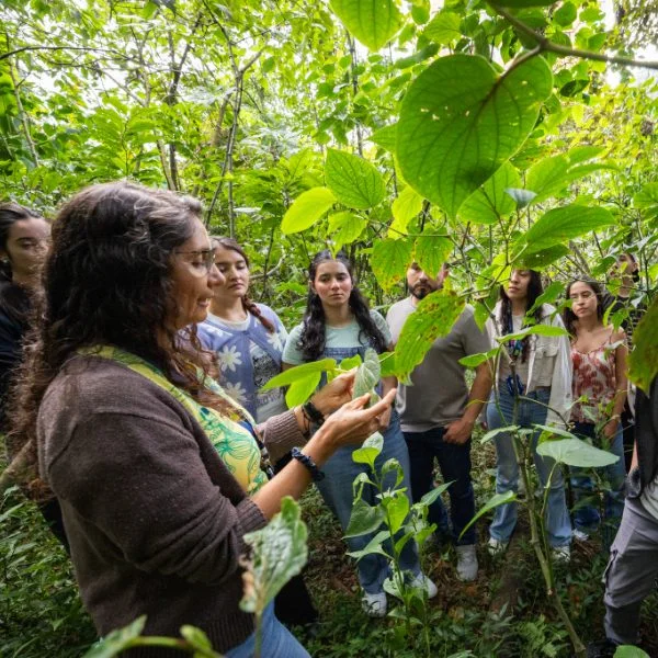 Grupo de personas en un entorno natural observa y analiza hojas de plantas, como parte de una actividad educativa al aire libre.