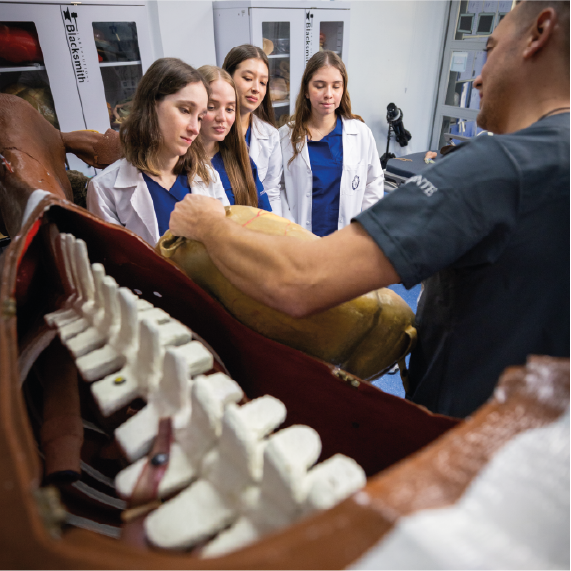 Un grupo de personas con batas blancas observa un modelo anatómico grande que muestra la columna vertebral y órganos internos, mientras un instructor explica detalles en un entorno educativo.