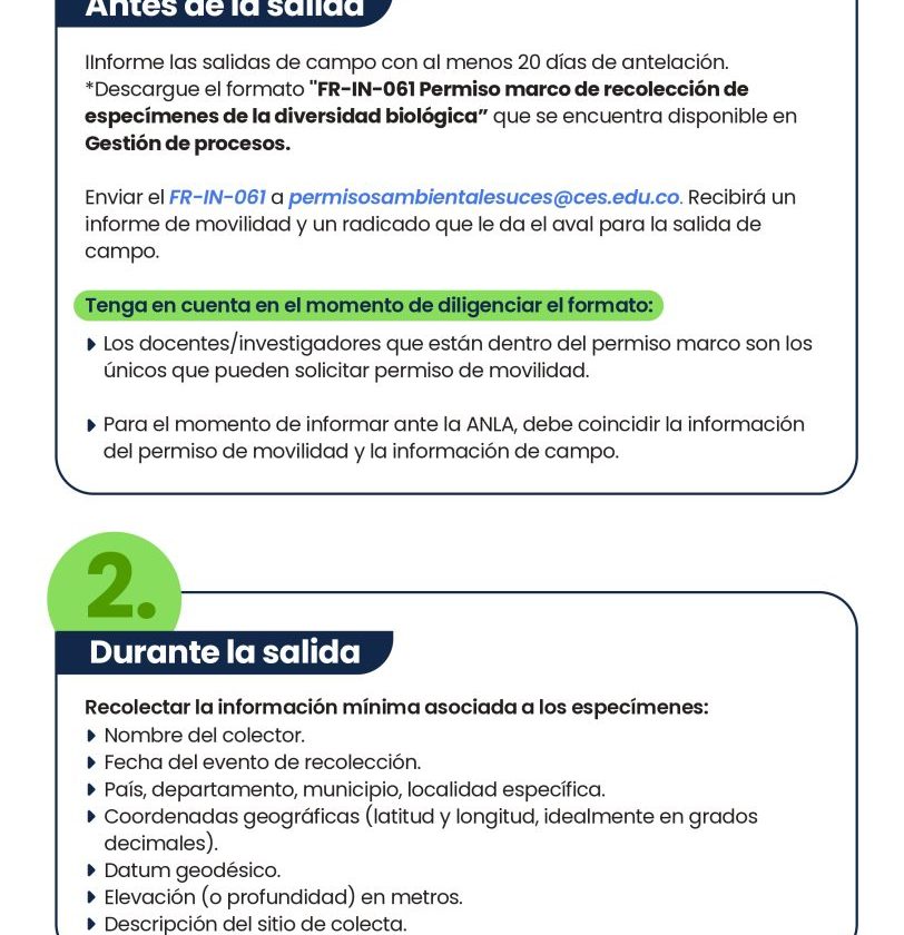 Infografía vertical con el logo de la Universidad CES en la parte superior, título sobre pasos para la creación de grupos de investigación, ilustraciones de hojas verdes y tres secciones numeradas con texto explicativo.