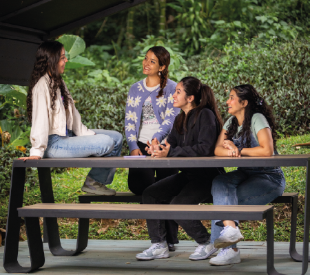 Cuatro personas conversan sentadas y de pie alrededor de una mesa de picnic en un espacio al aire libre rodeado de vegetación.