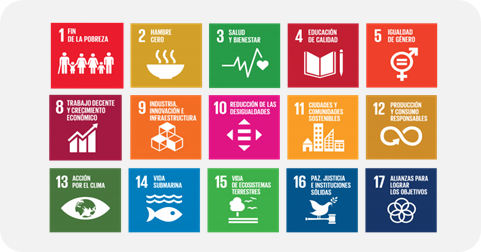 La imagen muestra los 17 Objetivos de Desarrollo Sostenible (ODS) de la ONU, cada uno representado por un recuadro de color con ícono y texto.