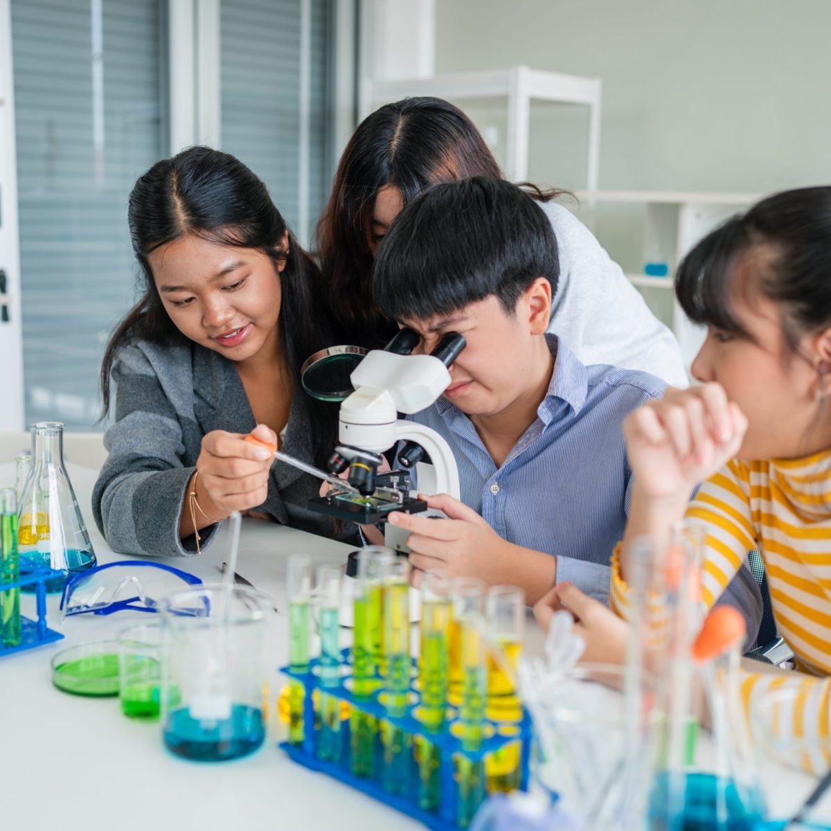 Grupo de estudiantes trabajando en un laboratorio escolar, observando muestras con un microscopio y manipulando tubos de ensayo con líquidos de colores.