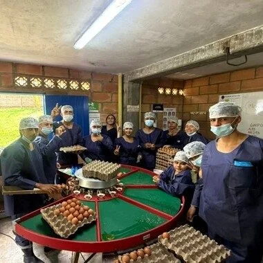 Grupo de estudiantes con uniforme, gorro y tapabocas alrededor de una mesa clasificadora de huevos.