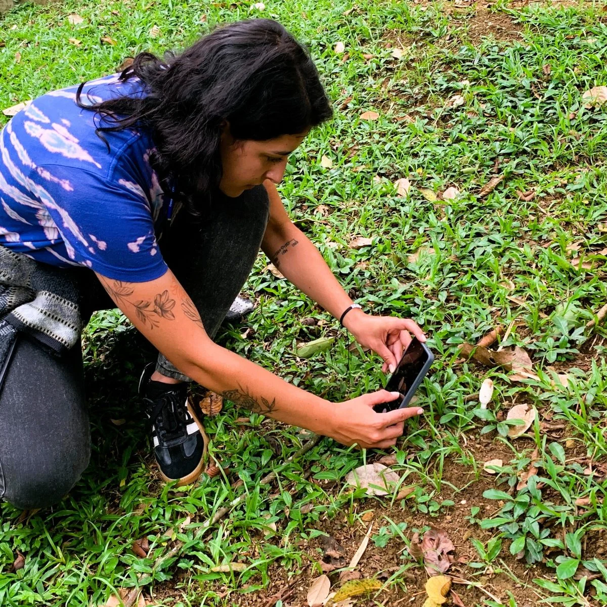 Persona agachada sobre una zona verde utiliza un teléfono móvil para fotografiar o registrar elementos del suelo durante una actividad de observación y recolección de información en un entorno al aire libre.