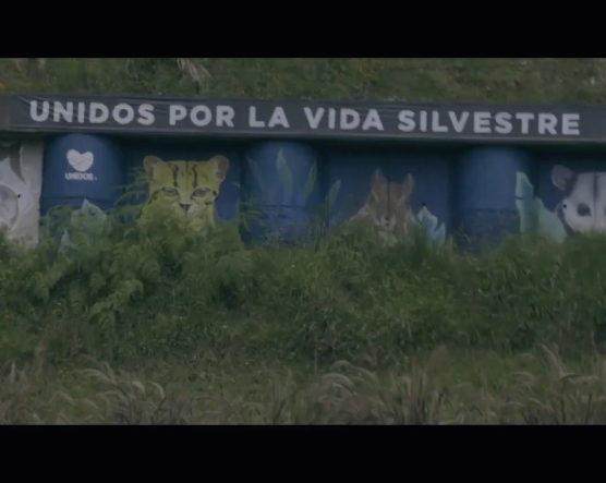 Mural con ilustraciones de animales silvestres sobre barriles azules, acompañado por el texto “UNIDOS POR LA VIDA SILVESTRE”, rodeado de vegetación.