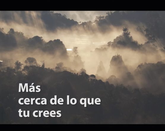 Paisaje de montaña cubierto por niebla y rayos de luz filtrándose entre los árboles, acompañado por el texto “Más cerca de lo que tú crees”.
