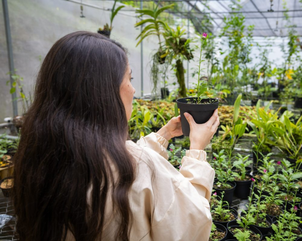 Persona sostiene una maceta con una planta en un invernadero lleno de vegetación y otras macetas sobre mesas.