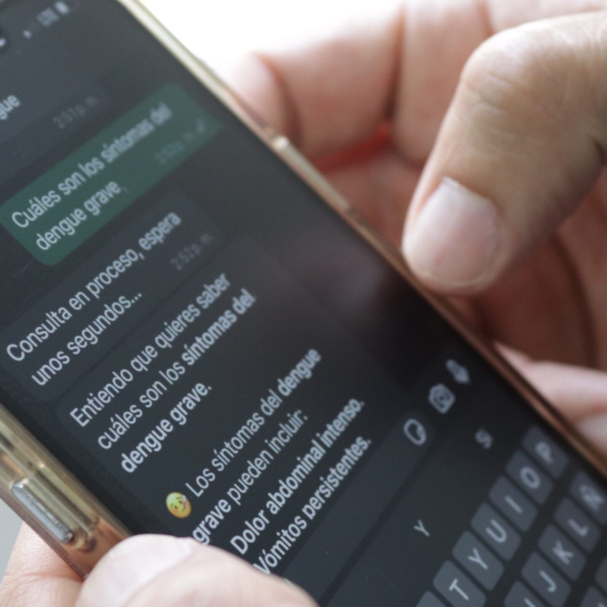 Berta, la innovadora herramienta digital para la lucha contra el dengue creada en el ICMT