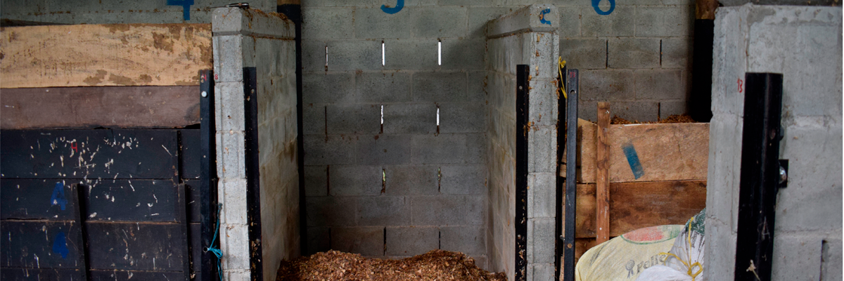 Universidad CES ha compostado 5.5 toneladas de mortalidad animal