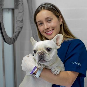 Mascotas no son portadoras ni transmisoras de coronavirus: médico del CVZ