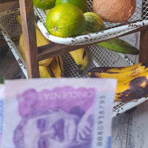 Consejos para que administres tu dinero durante esta cuarentena