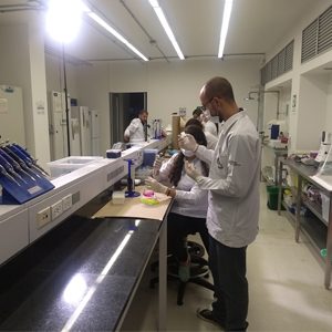 Universidad CES es admitida en la red internacional de investigación WAITRO