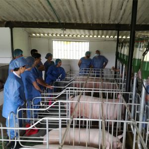 Universidad CES mantendrá apoyo a 1.230 estudiantes becados para el semestre 2020-II