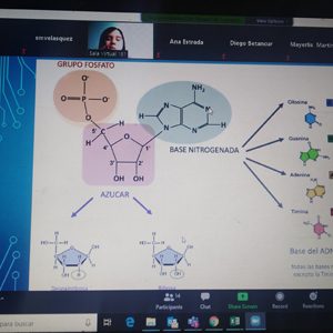 Más de 60 estudiantes reciben tutorías virtuales gracias a Tutores de Corazón
