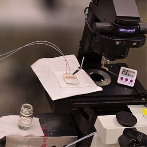 Facultad de Ingeniería explica el papel de los ingenieros biomédicos contra la pandemia