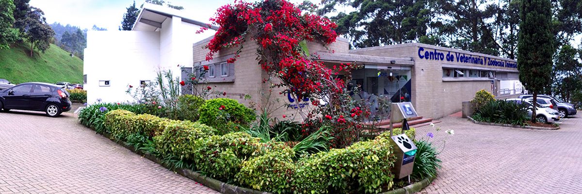 Servicios de petshop y peluquería, nuevo sector al que le apuesta el CVZ