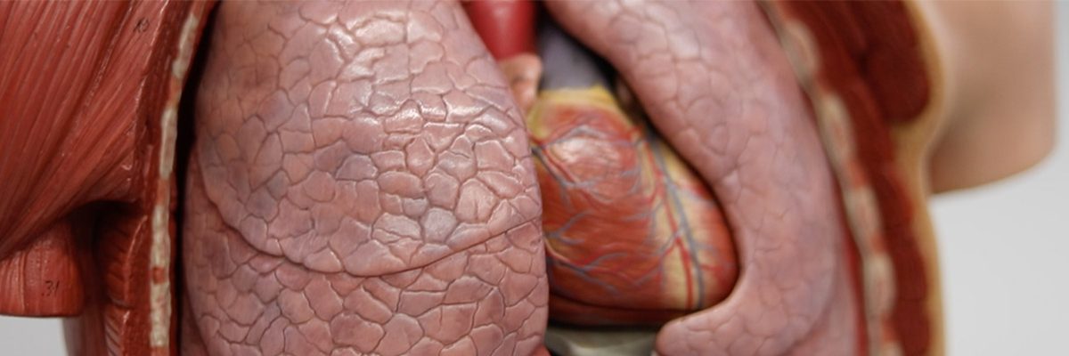 Estudio detectó aparición de coágulos de sangre en niños con tuberculosis