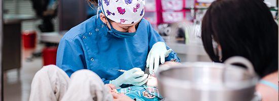 U. CES participa en investigación internacional sobre bienestar de odontólogos por pandemia