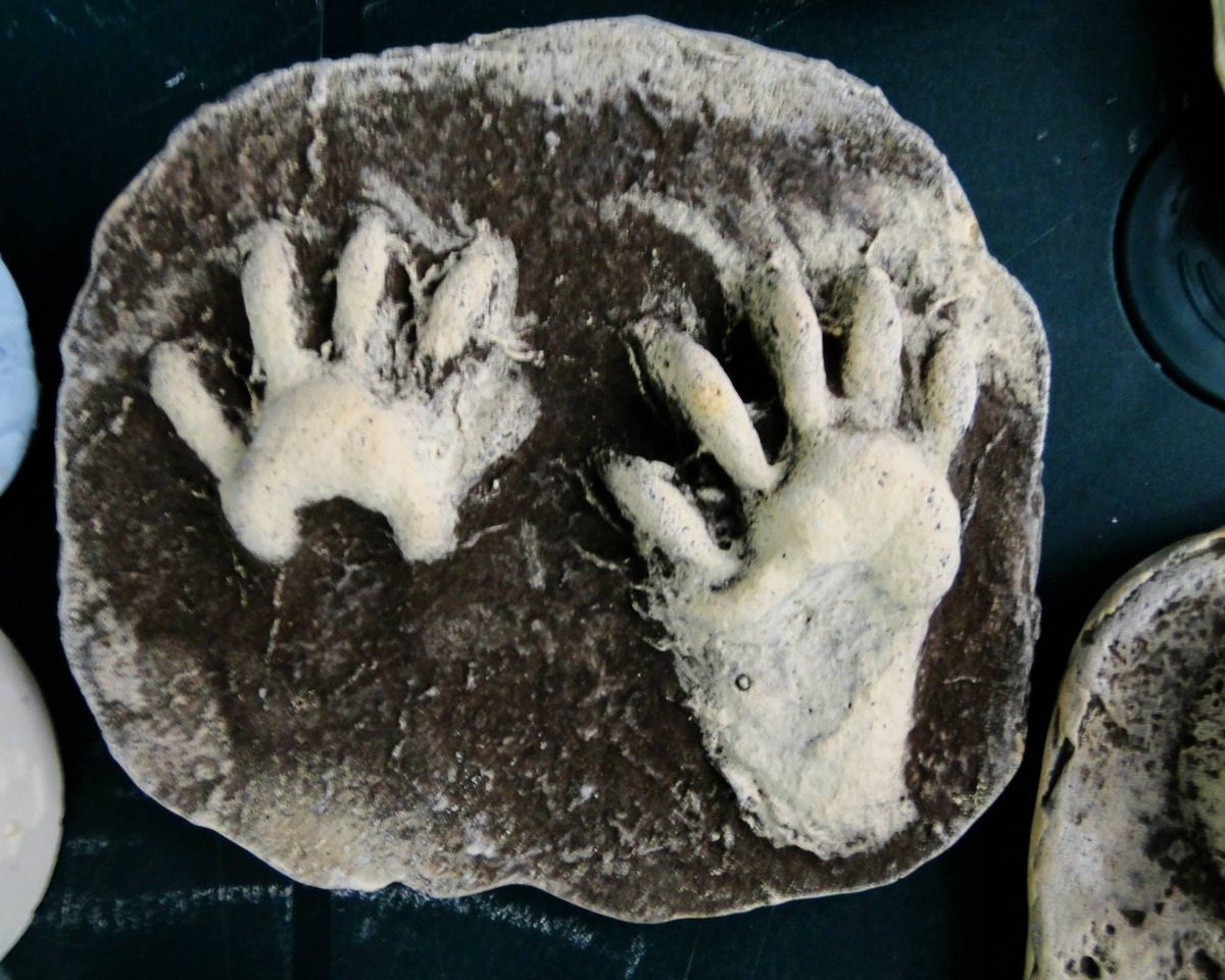 Huellas y rastros de los mamíferos en Colombia, el nuevo libro de la Editorial CES