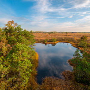 Conoce sobre los humedales, las “arterias del paisaje”