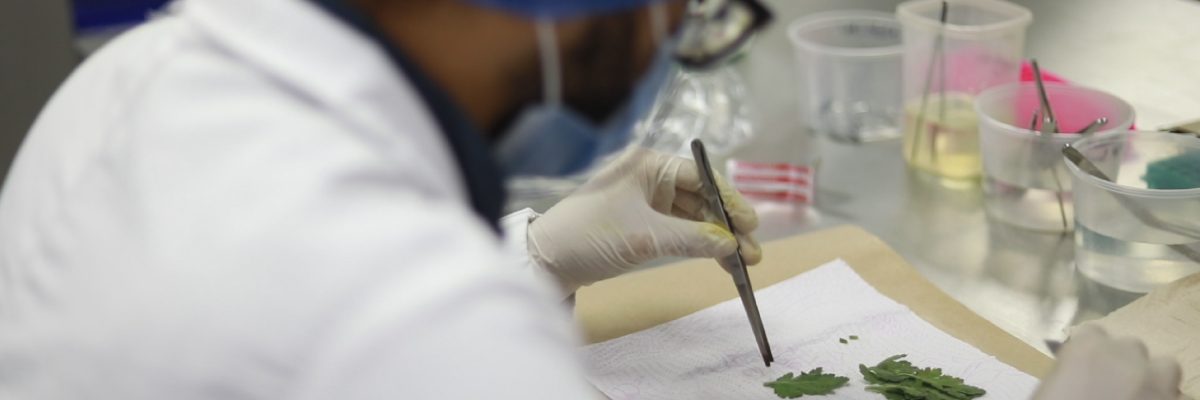 La UBI recibió registro de laboratorio de diagnóstico fitosanitario del ICA