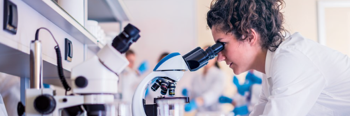 Investigadores CES fueron incluidos en la Clasificación Mundial de Científicos 2022