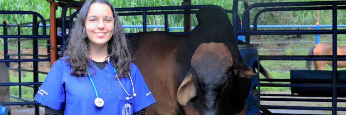 De perros y gatos a búfalos y vacas: Paulina Betancur Guerra