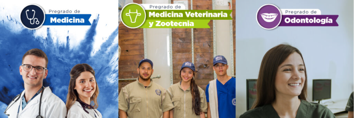 Medicina, Medicina Veterinaria y Zootecnia, y Odontología reciben acreditación internacional ARCU-SUR