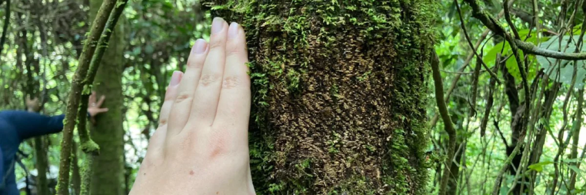 Equipo de la Universidad CES visitó zona de avistamiento de oso andino