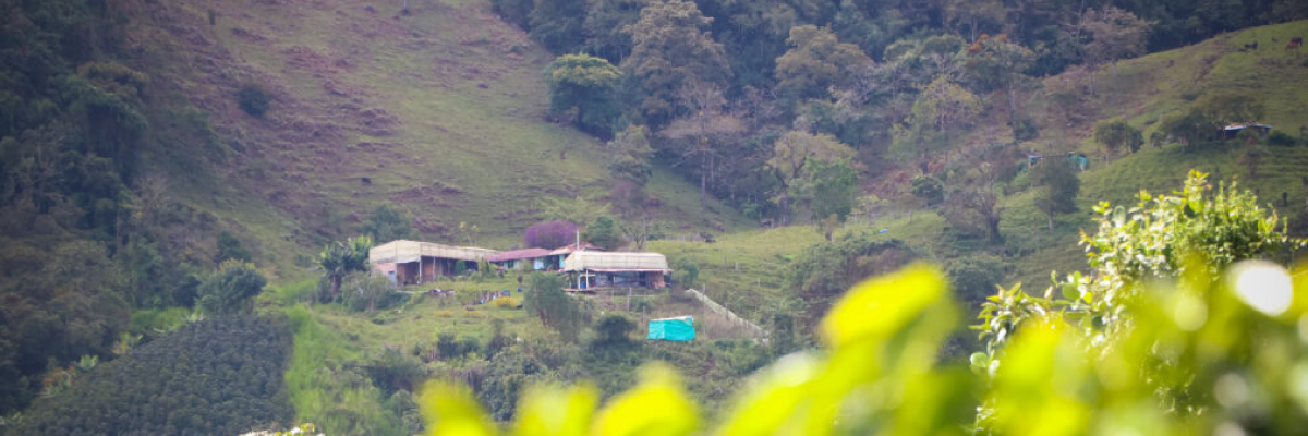 Medicina Veterinaria y Zootecnia contribuyó en declaratoria de Caicedo como libre de fauna en cautiverio