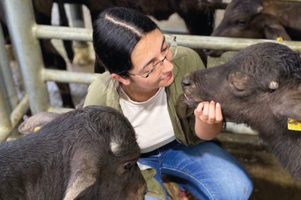Estudiantes de la Universidad CES apoyan la atencin veterinaria de bfalos, ganado y equinos en Hacienda Cuba