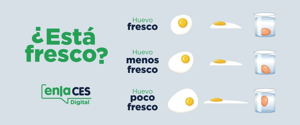 50 gramos que contienen la mejor calidad de proteínas, vitaminas y minerales: el huevo un alimento que contribuye a la seguridad alimentaria