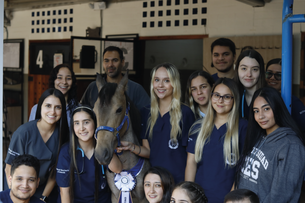 ¡De camino a casa! El caballo Valentino recibió el alta médica veterinaria en el CVZ