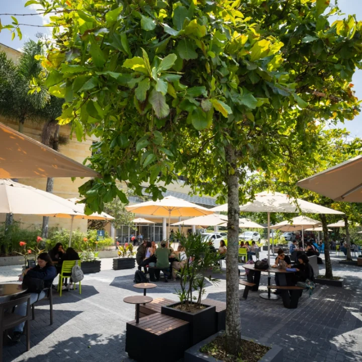 Zona al aire libre con mesas y sillas bajo sombrillas, rodeada de árboles y plantas. Varias personas están sentadas conversando en un espacio tipo cafetería, con edificios visibles al fondo.