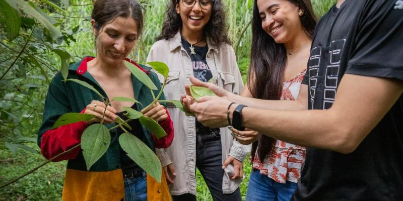 Grupo de personas en un entorno natural observando hojas y frutos, mientras una persona explica detalles sobre las plantas.