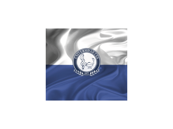 Bandera con franjas horizontales en tonos blancos y azul, que incluye el escudo de la Universidad CES en el centro.