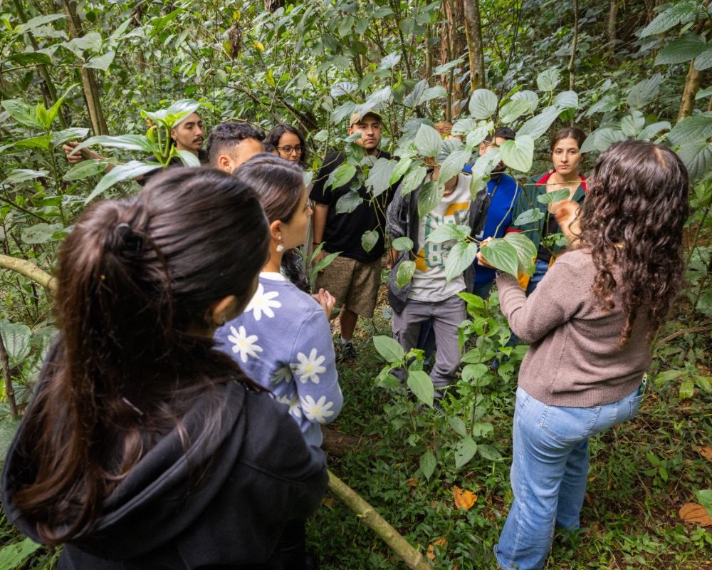 Grupo de personas en un bosque observando plantas y hojas grandes, rodeados de vegetación densa. Una persona al frente parece explicar algo sobre la flora.