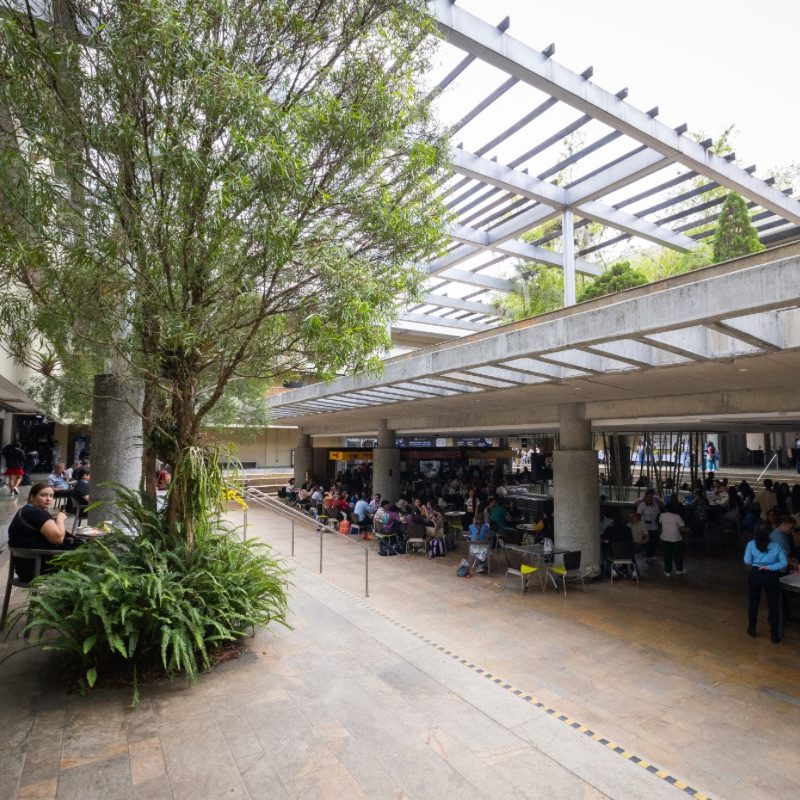 Espacio abierto y cubierto en la Universidad CES, con estructura de techo en rejilla, vegetación y personas reunidas en mesas en la zona central.
