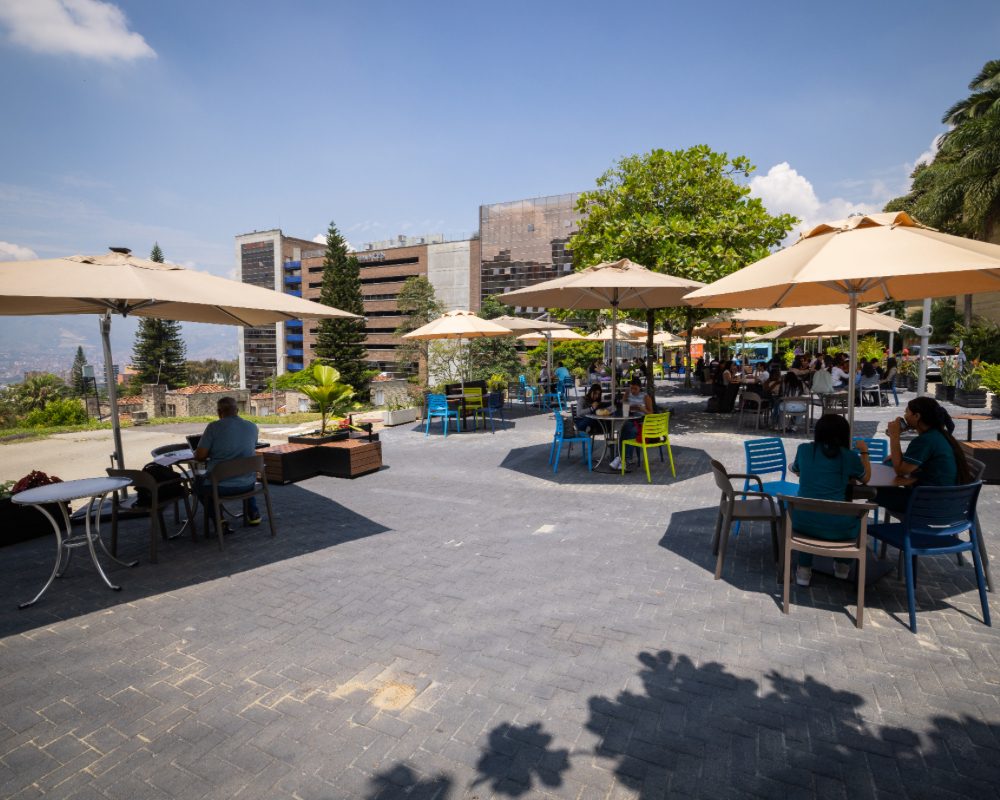 Zona al aire libre con mesas y sillas bajo sombrillas, donde varias personas conversan y trabajan, rodeada de árboles y edificios visibles al fondo en un día soleado.