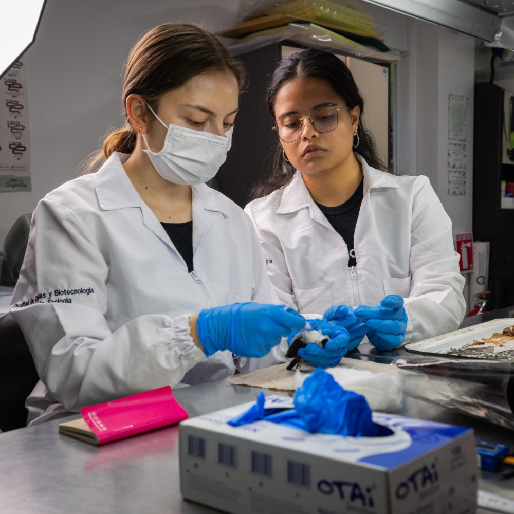 Dos personas con batas blancas y guantes azules manipulan muestras sobre una mesa metálica en un entorno de laboratorio. En la mesa hay una caja de guantes, utensilios y una libreta rosada.