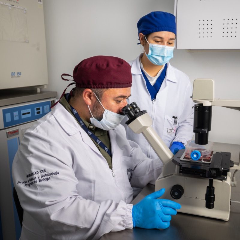 Dos personas con batas blancas y guantes azules trabajando en un laboratorio, una utilizando un microscopio sobre una mesa metálica.