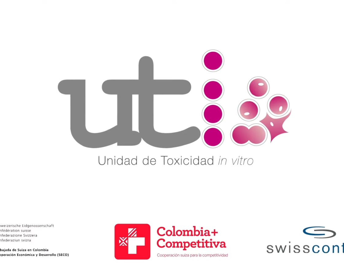 Logotipo de la Unidad de Toxicidad in vitro (UTi) en tonos gris y rosa.